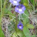 Maria Zanella - @cuoca100 - Twitter