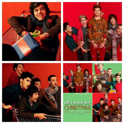 jennah_tincher's profile picture. One Direction(: 3 Harry Styles Niall Horan Liam Payne Zayn Malik Louis Tomlinson!!(: 14 Softball (: