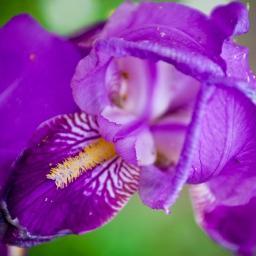 anvetrov70's profile picture. Я - участник Сообщества Kipi