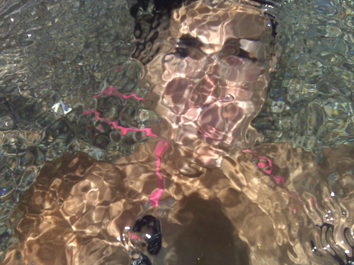 Aristea's profile picture. 