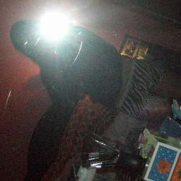 Follow Me! I follow back!
I Live For The Nights I Cant Remember With The Ppl Ill Never Forget
Dance 
Hockey
Welp Bye.