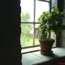 hejjet's profile picture. 