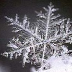 Tanwethwen's profile picture. folgt ...