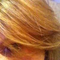 Sam Warner (@smarvey76) 's Twitter Profile