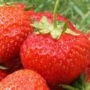 Michael Nascimento. - @MichaelNascim14 - Twitter