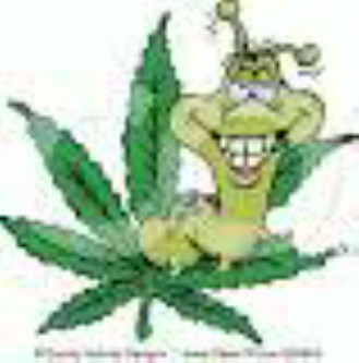 saintboy87's profile picture. 