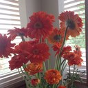 Sandy Walker - @sandyjoywalker - Twitter