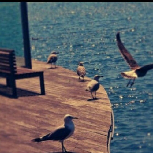http://t.co/EDhxBzwz رابط البث المباشر لقناة المجد