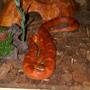 Kevin Cragg - @51KDC - Twitter