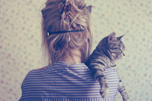 If you don't like cats, we can't be friends.