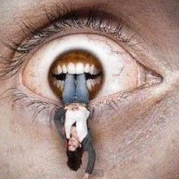 ...cuando la tenaz luminosidad nos obliga a cerrar los ojos para abrirlos dentro de ella...