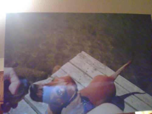 surfsup138888's profile picture. following dreams