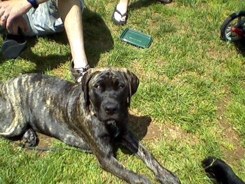 addydog7's profile picture. 