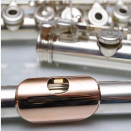 sencv01's profile picture. leerkracht basisonderwijs, dirigent, musicus en levensgenieter