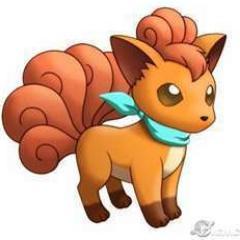 im a vulpix named Chloe and i like almost everyone. Finally i'm back getting over my husband Jake's death and searching for a purpose in life!