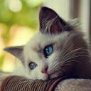 alaa kamel - @alaa_mkm25 - Twitter