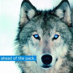 EthernetIP's profile picture. An Industry-leading Internet Provider.
* Fiber to your premise
* Ethernet hand-off
* SLA'd 10MB  10GB Up and Down
* Guaranteed 40-60% Savings
* 24x7 iNOC