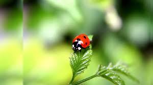 FechaMore's profile picture. 