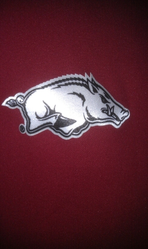 God, Family, Hogs. What else do you need?