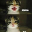 Krysta Johnson - @KrystaJohnson98 - Twitter