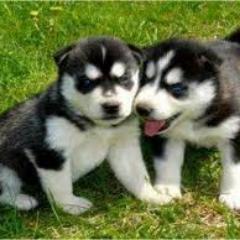 _JeanFranco_'s profile picture. 