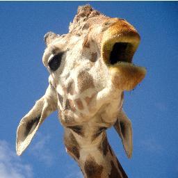 krstnmtz's profile picture. 