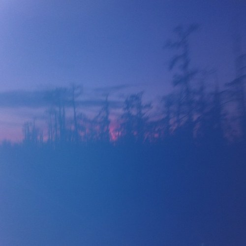 jurniesworld's profile picture. Living out my dream