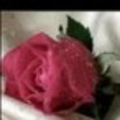 Mayar_SM's profile picture. 