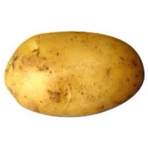 Just your average potato that understands all your life struggles  Business Kik: fukctwit