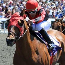 sizeless33's profile picture. retired state govt./ thoroughbred owner/trainer/ love golf/ of course INDIANA BASKETBALL