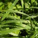 NaomiJayPhotography - @NaomiJayP - Twitter