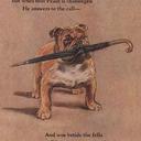 wendy stead - @zz204 - Twitter