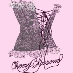 Descubre nuestra firma de corsets, gran calidad a precios increíbles.