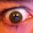 muckyfat's profile image