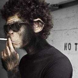 Eats bananas. Climbs trees. Flings faeces. Wait, forget that last one.