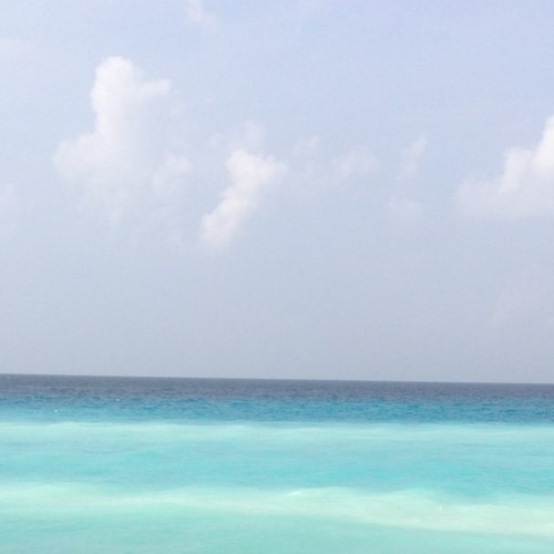 Nahlahn's profile picture. being ...