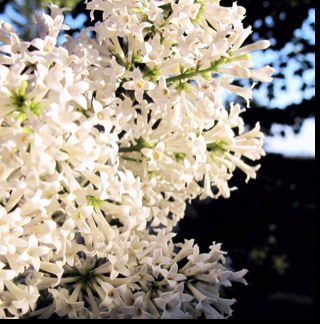 qqboy2046's profile picture. 