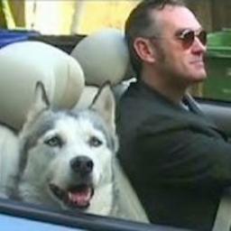 Morrissey imitating dogs.