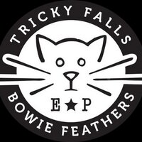 Tricky Falls (@trickyfallsep) 's Twitter Profile
