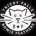 Tricky Falls (@trickyfallsep) Twitter profile photo