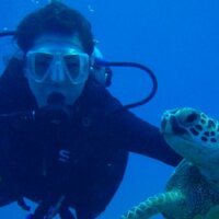 Lee Allen (@leeallensghost) 's Twitter Profile