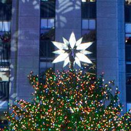 The Rockefeller Center Christmas Tree lighting is Wed. November 30, 2011 7-9pmET. hashtag is #RockCenterXmas
like us http://t.co/r6sH5FPh