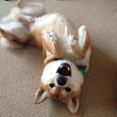 Zugwat's profile picture. 