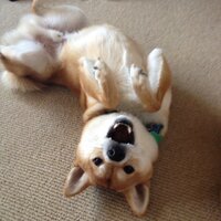 Steven Silverman (@zugwat) Twitter profile photo