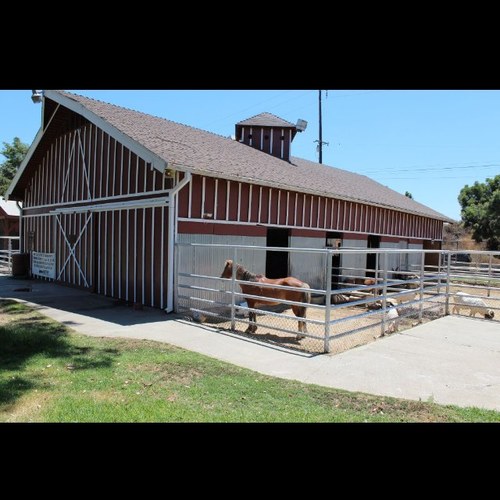 BarnyardZoo's profile picture. Montebello Barnyard Zoo provides pony rides, train rides, petting zoo, picnic area, playground, kids birthday party areas, and a traveling zoo.
