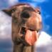 coma berenices (@_coma_berenices) Twitter profile photo