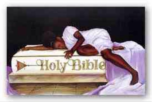 TULIPSINC's profile picture. 