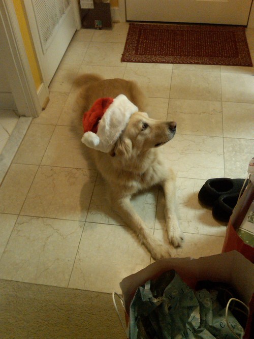 artod4789's profile picture. 