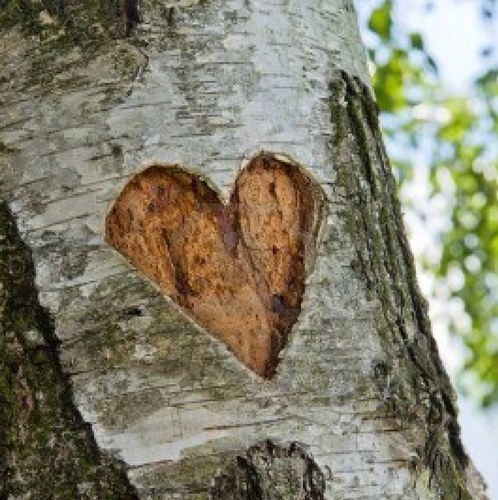 ImInLoveWith_A's profile picture. Couple's account tweeting what we love about each other. #LDR #LoveAccount