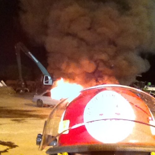 kellyengelke's profile picture. 